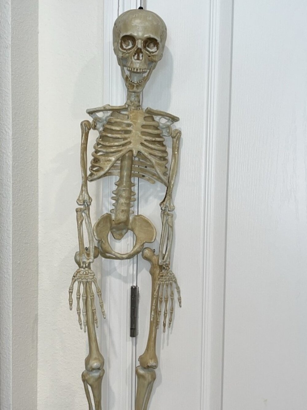 Halloween Full Large 34" Resin Tall Hanging Skeleton